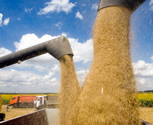 У 2017/18 МР Україна відправила на експорт майже 4 млн тонн зерна